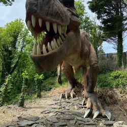 Blackgang Chine - Isle of Wight