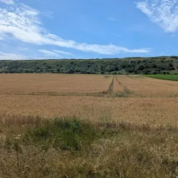 Dimbola Museum and Galleries - Isle of Wight