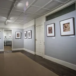 Dimbola Museum and Galleries - Isle of Wight