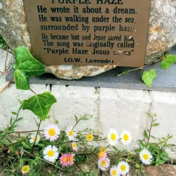 Dimbola Museum and Galleries - Isle of Wight