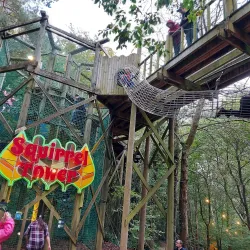 Robin Hill Country Park - Isle of Wight