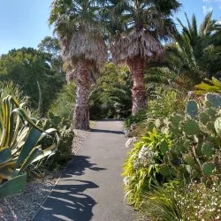Ventnor Botanic Garden - Isle of Wight