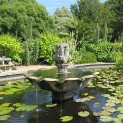 Ventnor Botanic Garden - Isle of Wight