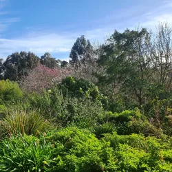 Ventnor Botanic Garden - Isle of Wight