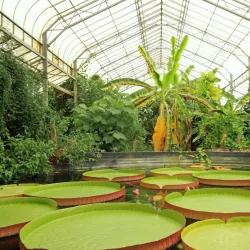 Ventnor Botanic Garden - Isle of Wight