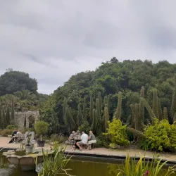 Ventnor Botanic Garden - Isle of Wight