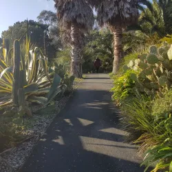 Ventnor Botanic Garden - Isle of Wight