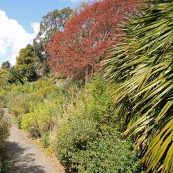 Ventnor Botanic Garden - Isle of Wight