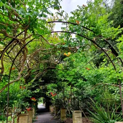 Ventnor Botanic Garden - Isle of Wight