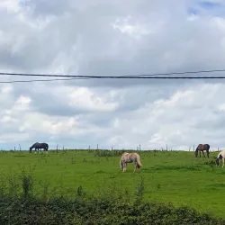 The Village of Keele - Keele