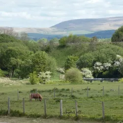 Leeds and Liverpool Canal - Keighley