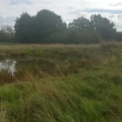 Castle Farm Park - Kenilworth