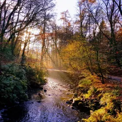 Dean Castle and Country Park - Kilmarnock