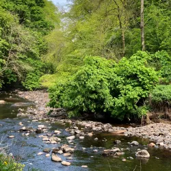 Dean Castle and Country Park - Kilmarnock