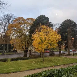 Dick Institute - Kilmarnock