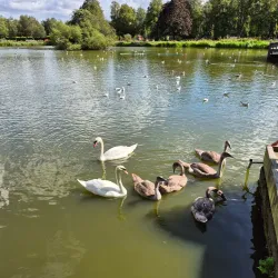 Kay Park - Kilmarnock