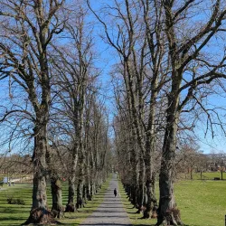 Kay Park - Kilmarnock