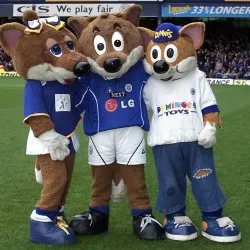 Rugby Park - Kilmarnock