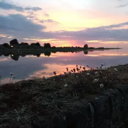 King's Lynn Arts Centre - King's Lynn