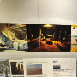 Lynn Museum - King's Lynn