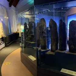 Lynn Museum - King's Lynn