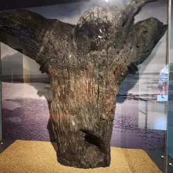 Lynn Museum - King's Lynn