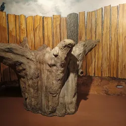 Lynn Museum - King's Lynn