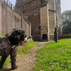 South Gate - King's Lynn
