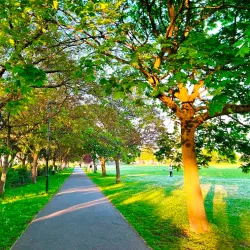 Canbury Gardens - Kingston upon Thames