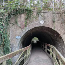 Hogsmill River Walk - Kingston upon Thames