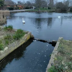 Brockwell Park - Lambeth