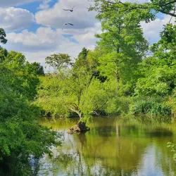 Brockwell Park - Lambeth