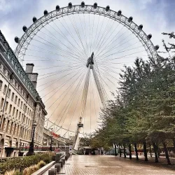The London Eye - Lambeth