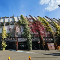 The Oval Cricket Ground - Lambeth