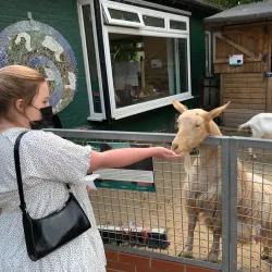 Vauxhall City Farm - Lambeth