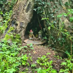 Carnglaze Caverns - Launceston