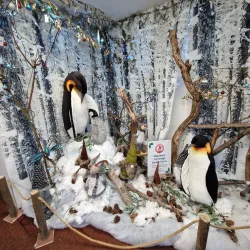 Cornish Camellia Garden - Launceston