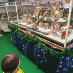 Cornish Camellia Garden - Launceston