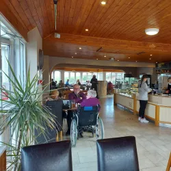 Cornish Camellia Garden - Launceston