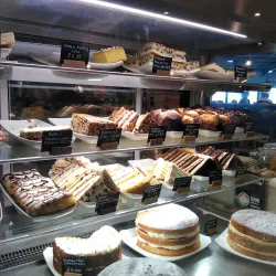 Cornish Camellia Garden - Launceston