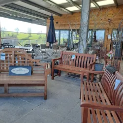 Cornish Camellia Garden - Launceston