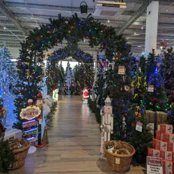 Cornish Camellia Garden - Launceston