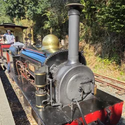 Launceston Steam Railway - Launceston