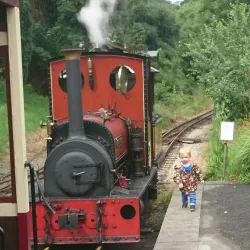 Launceston Steam Railway - Launceston