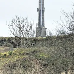 Tamar Valley Area of Outstanding Natural Beauty - Launceston