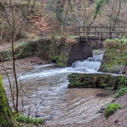 Tamar Valley Area of Outstanding Natural Beauty - Launceston