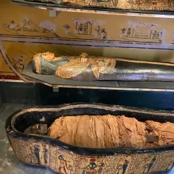 Leeds City Museum - Leeds