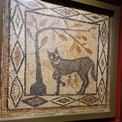 Leeds City Museum - Leeds