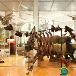 Leeds City Museum - Leeds