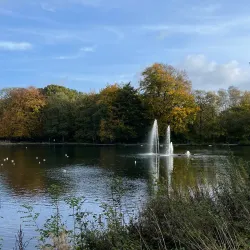Roundhay Park - Leeds